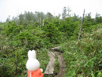 ���c��߂�