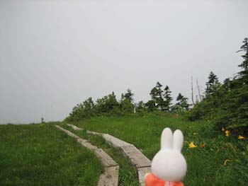 �R������