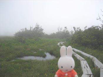 �R������