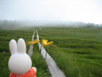 �R������