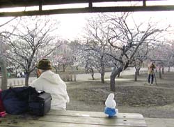 F郷土の森公園にて