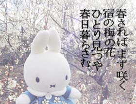 F郷土の森公園にて2