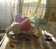 �������