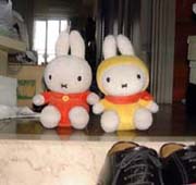 �����Ă�����Ⴂ