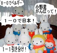 ベルギー戦前夜