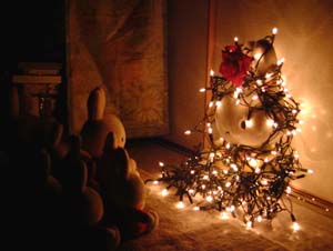 でかミッフィーツリーをおがむ人々