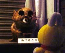 ���Â��Ƃ�