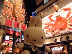 道頓堀の町中にて