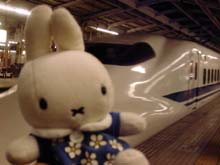 新幹線&ミッフィー
